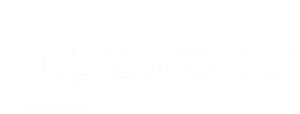 logo teamferrer